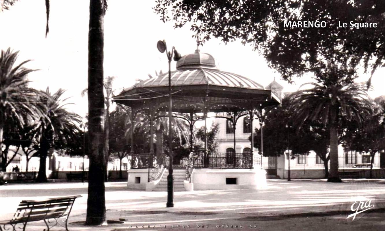 Marengo - Square.jpg